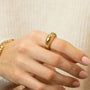 Two Tone Arc Rings